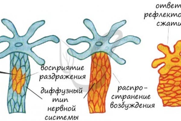 Кракен актуальная ссылка на сегодня