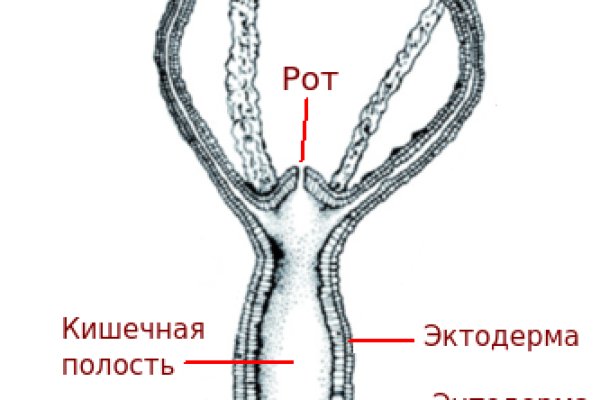 Почему кракен не блокируют