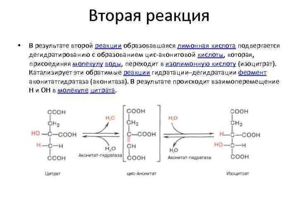 Актуальные ссылки на кракен тор