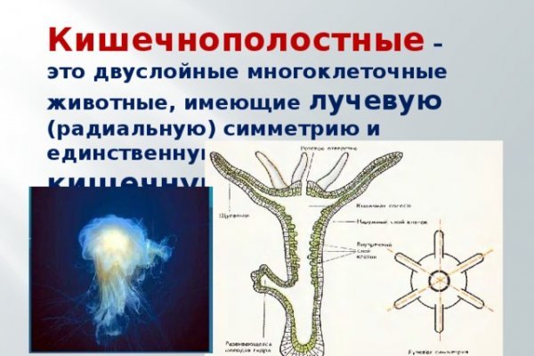 Кракен даркнет площадка